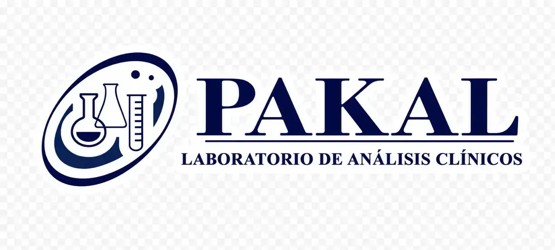 Laboratorio Pakal